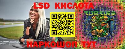 стаф Новодвинск