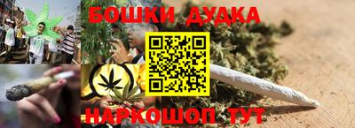 стаф Новодвинск