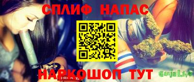 стаф Новодвинск