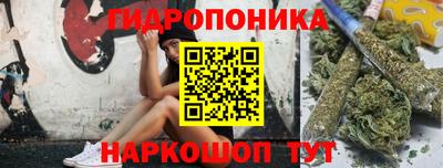 соль ск Обь