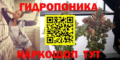 соль ск Обь